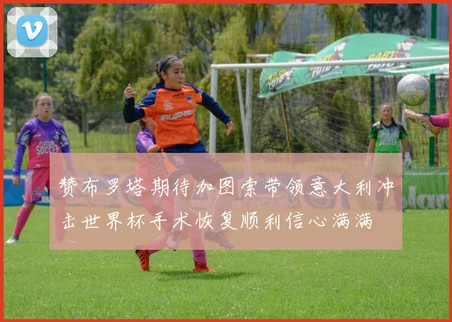 赞布罗塔期待加图索带领意大利冲击世界杯手术恢复顺利信心满满
