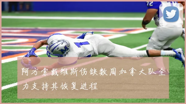 阿方索戴维斯伤缺数周加拿大队全力支持其恢复进程