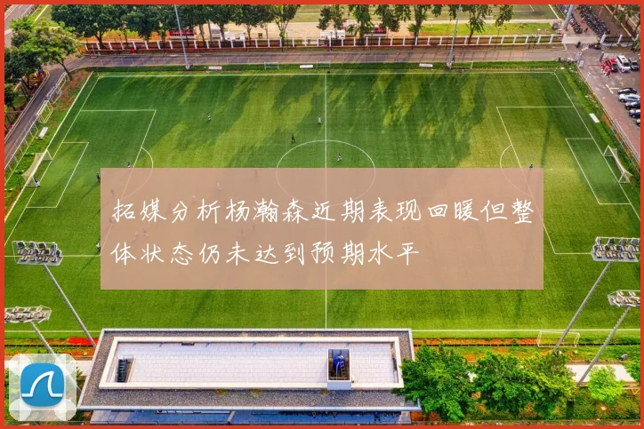 拓媒分析杨瀚森近期表现回暖但整体状态仍未达到预期水平